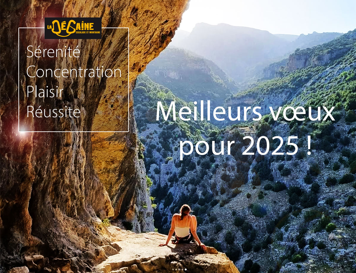 Meilleurs voeux 2025 !