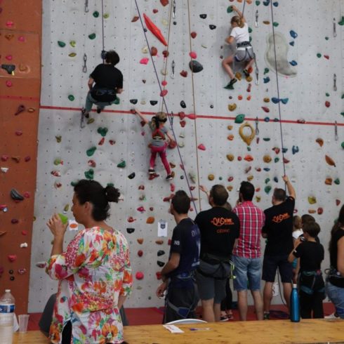 Handis et valides grimpent ensemble