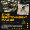 Stage perfectionnement escalade tous niveaux dès U11 !